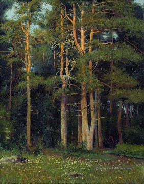 forêt de pins dans le paysage classique de ligovo 1895 Ivan Ivanovitch arbres Peinture à l'huile